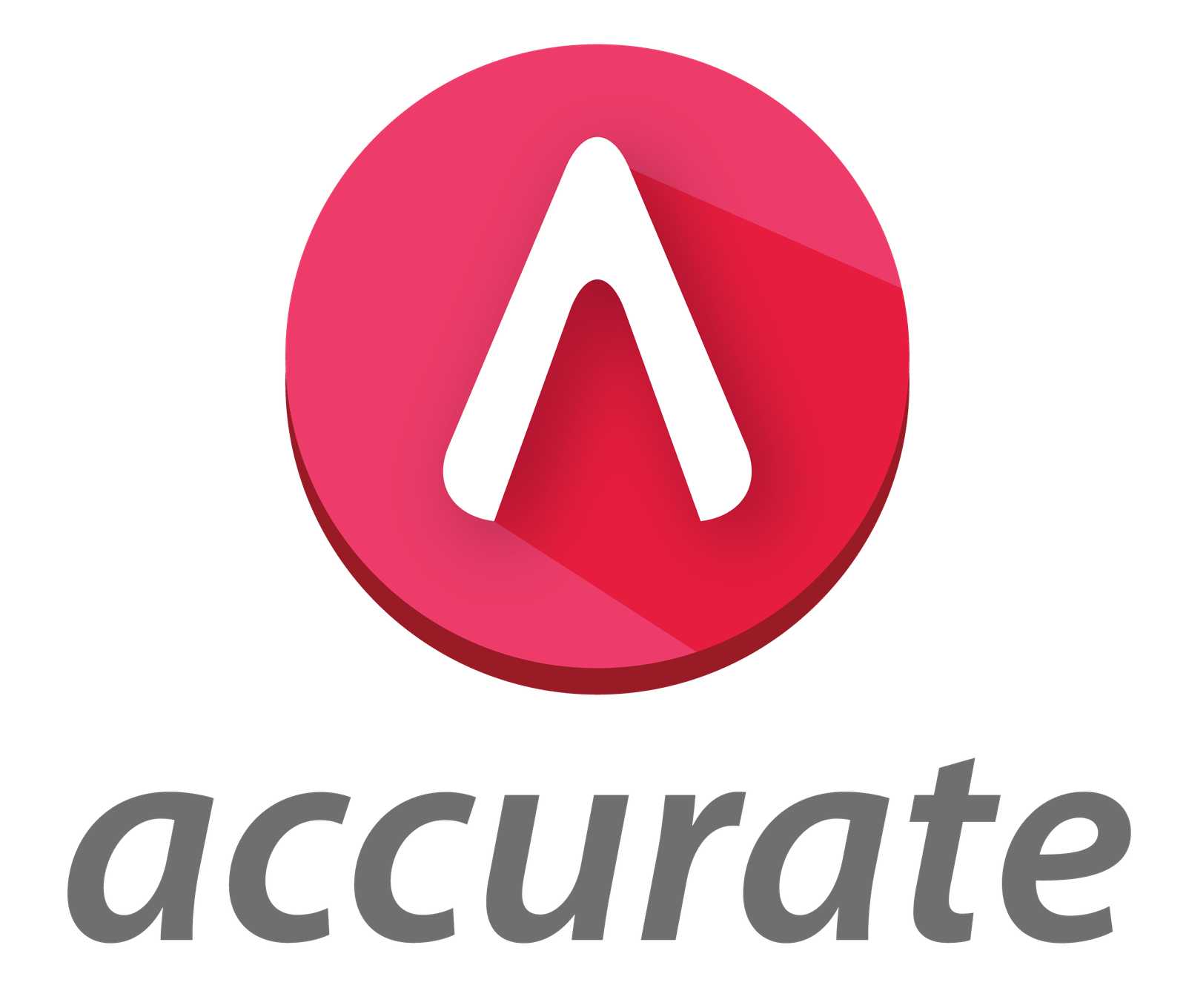 Logo footer Accurate Online